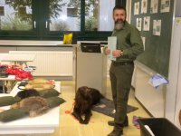 Schulbesuch Gymnasium 2020